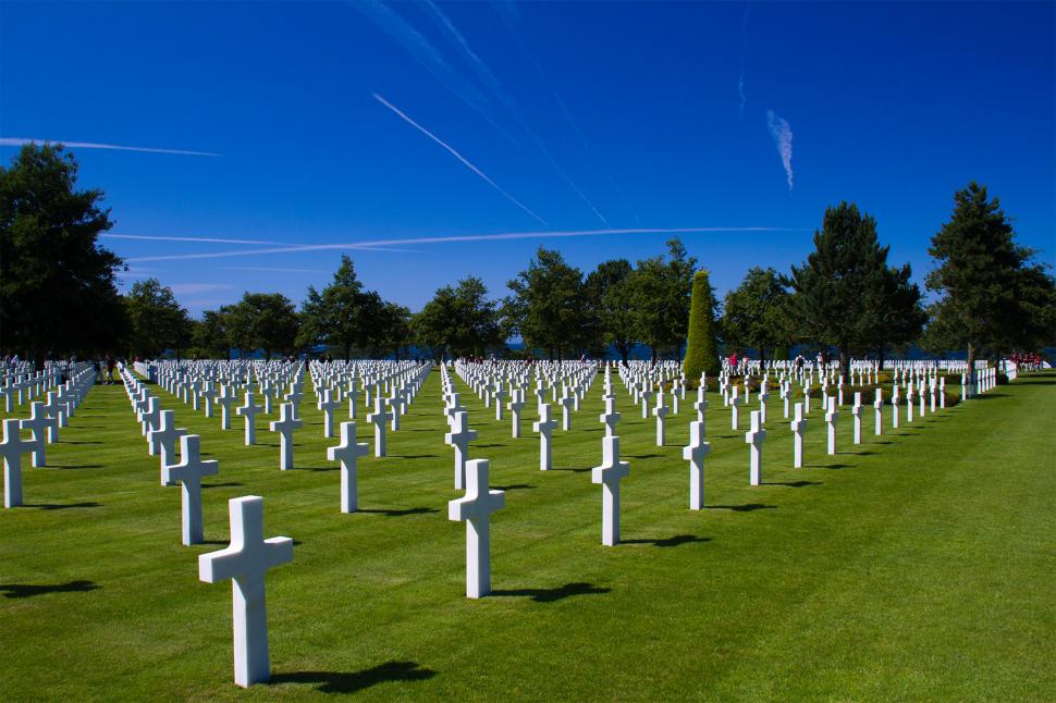 Row of military graves