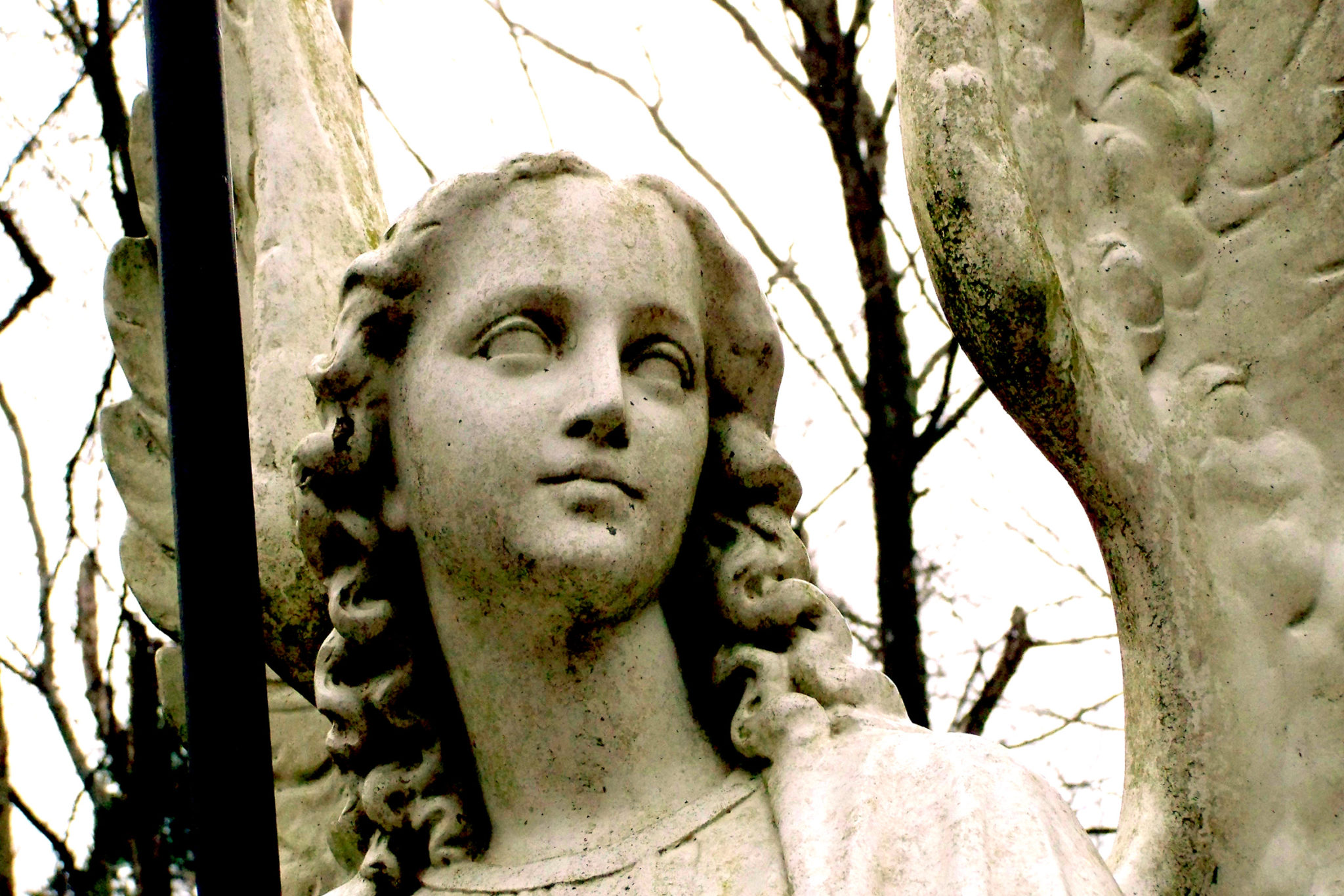 Expository Sermon on Revelation 14611 The Three Proclaiming Angels