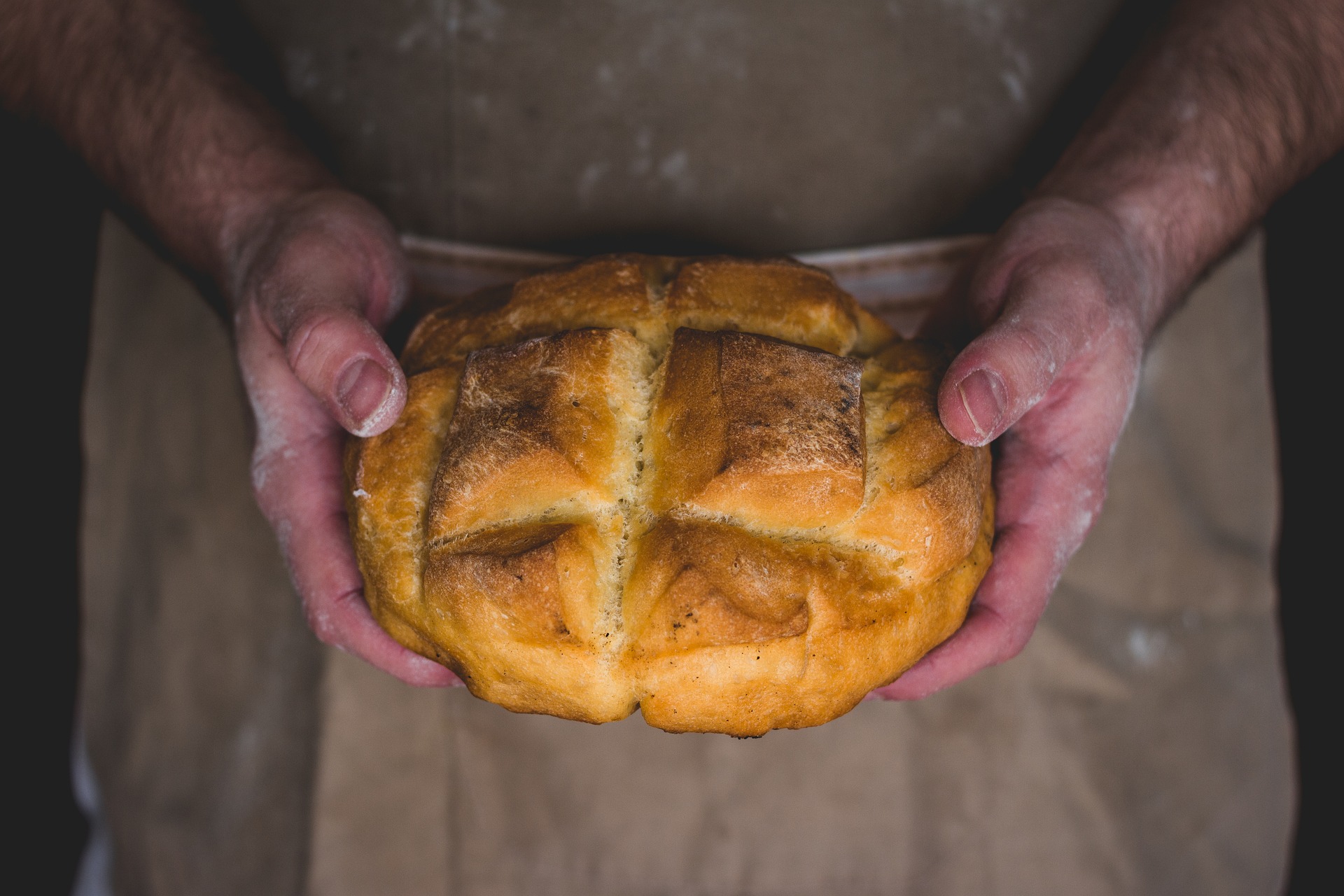 Expository Sermon from John 6:51-58 | Jesus: I am the Living Bread